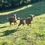 Tente Avec Vue Sur L'aubrac Camping Bessuejouls