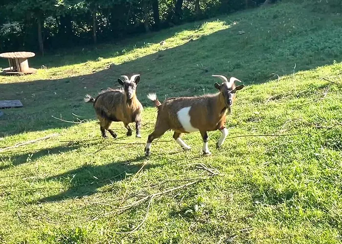 Campeggio Tente Avec Vue Sur L'aubrac